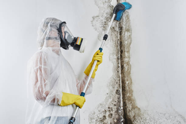 Professional Water damage restoration in Bicknell, IN